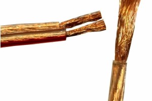 Lautsprecherkabel Whoopgate 1m